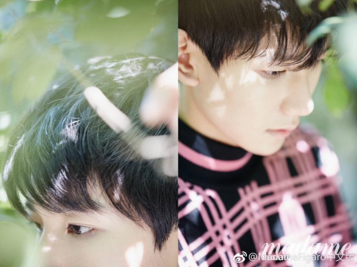 Thiếu tướng! Vợ ngài có thai rồi! Chuyển Ver Kaiyuan