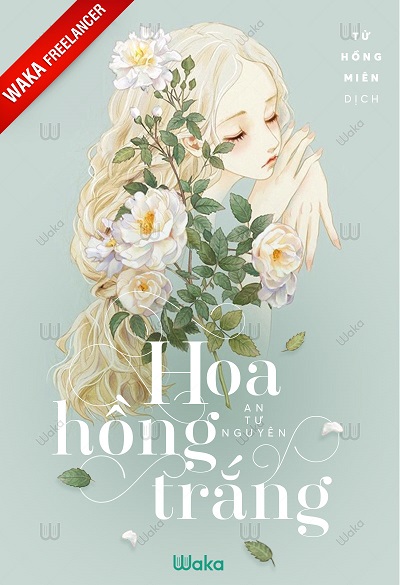 Hoa hồng trắng