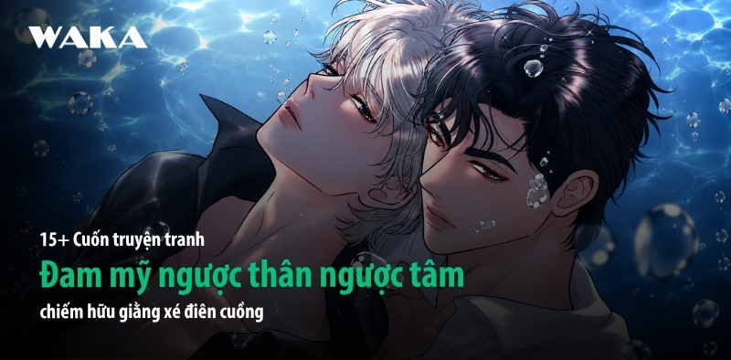 15+ Cuốn truyện tranh đam mỹ ngược thân ngược tâm giằng xé điên cuồng 15+ Cuốn truyện tranh đam mỹ ngược thân ngược tâm giằng xé điên cuồng