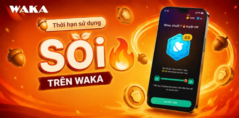 Thời hạn sử dụng Sồi - Lưu ý quan trọng người dùng cần biết Thời hạn sử dụng Sồi - Lưu ý quan trọng người dùng cần biết