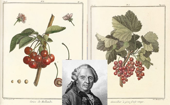 Những cuốn sách đắt giá nhất thế giới