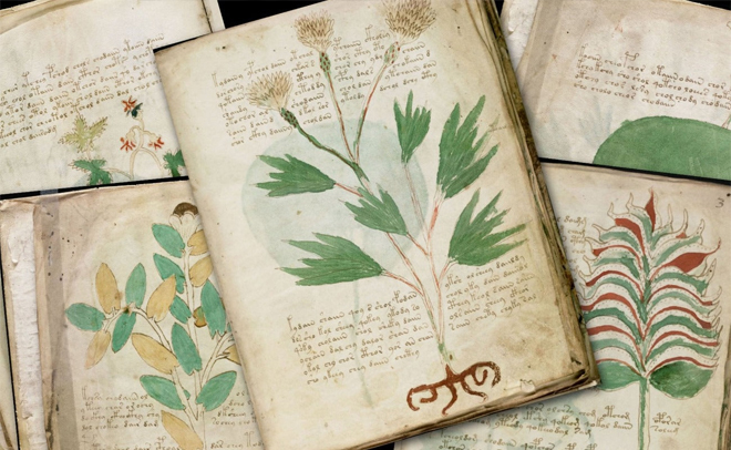 Bản thảo là gì? Nguồn gốc, bản chất và mục đích ra đời