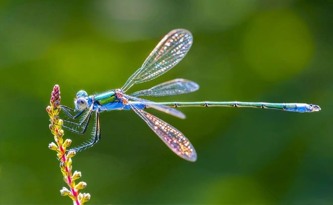 Ca dao tục ngữ Việt Nam nói về thời tiết, thiên tai