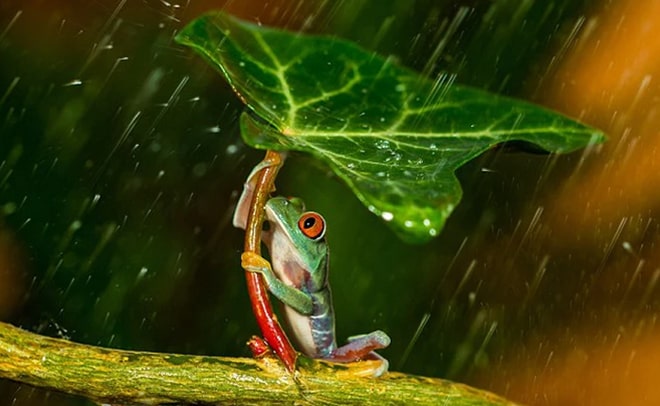 Ca dao tục ngữ Việt Nam nói về thời tiết, thiên tai