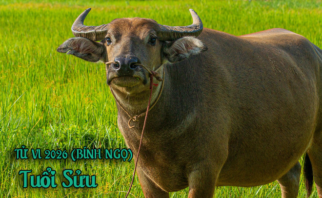 Tử vi 12 con gi&aacute;p năm B&iacute;nh Ngọ (2026) - Chi tiết