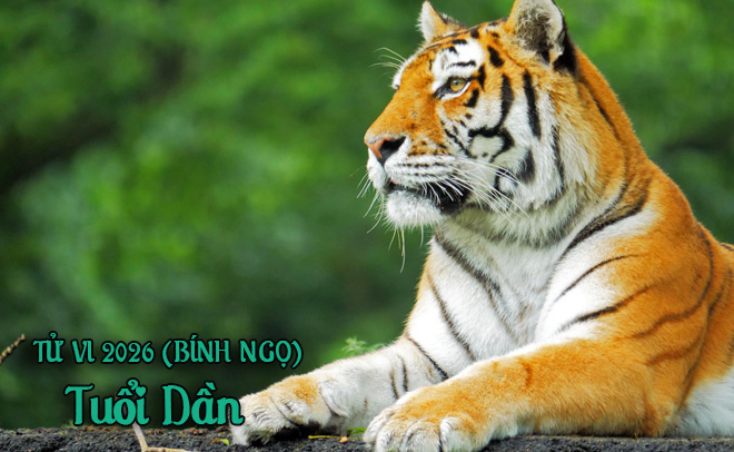 Tử vi 12 con gi&aacute;p năm B&iacute;nh Ngọ (2026) - Chi tiết