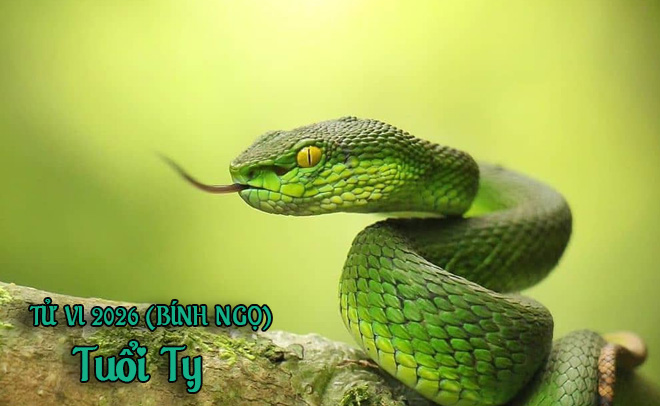 Tử vi 12 con gi&aacute;p năm B&iacute;nh Ngọ (2026) - Chi tiết