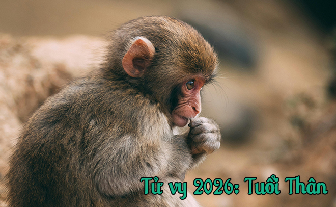 Tử Vi Năm 2026 Cho Những Người Tuổi Ngọ Mùi Thân