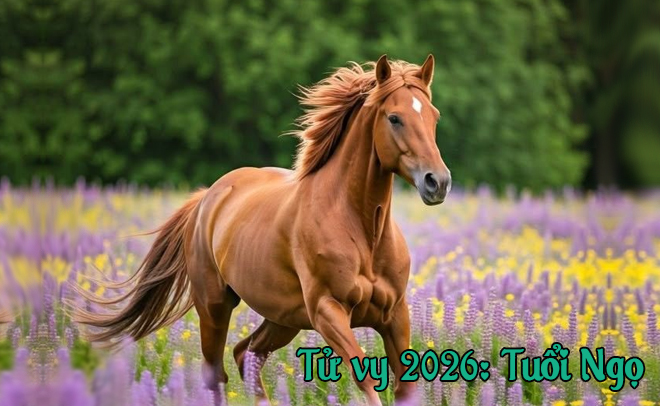 Tử Vi Năm 2026 Cho Những Người Tuổi Ngọ Mùi Thân