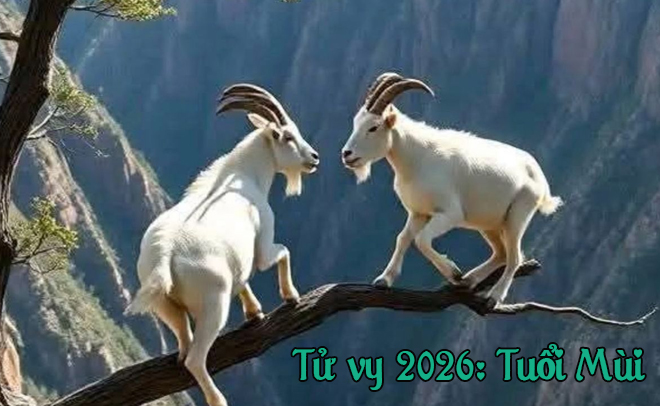 Tử Vi Năm 2026 Cho Những Người Tuổi Ngọ Mùi Thân